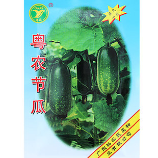 粤农毛节瓜种子迷你小冬瓜种籽绿皮早熟高产籽种四季蔬菜孑