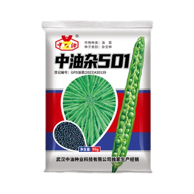 中油杂501高产杂交油菜种子