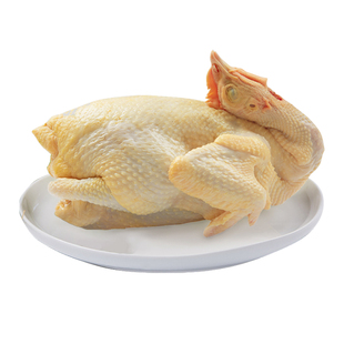 清远阳山大公鸡扇鸡农家散养土鸡新鲜月子鸡走地鸡椰子鸡现杀现发