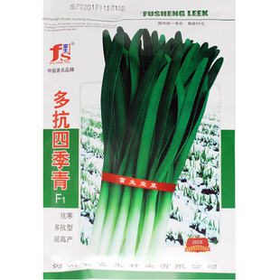 高产韭菜种子宽叶韭菜根四季蔬菜白根雪韭王四季不休眠抗寒耐低温