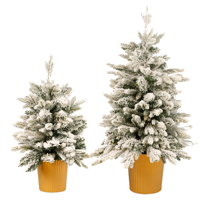 珍世缘pe积雪圣诞树出口韩国