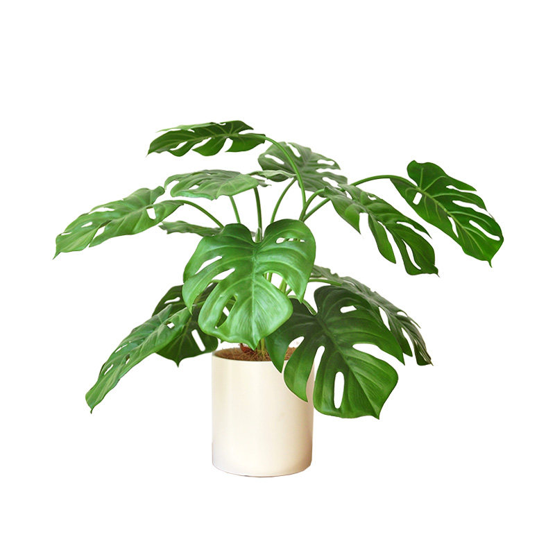 仿真绿植九思大片观叶植物桌摆