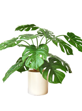 仿真绿植九思大片观叶植物桌摆