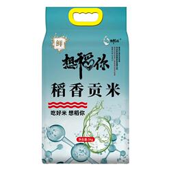 【想稻你】东北大米稻香贡米10斤