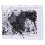 重瓣太阳花种孑花种籽子室内室外观花卉植物花籽四季播种开花易活