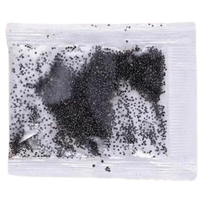 重瓣太阳花种孑室内庭院开花易活