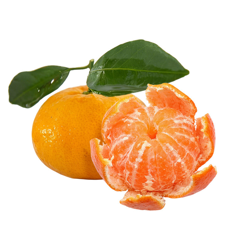 【顺丰包邮|坏果包赔】新余蜜桔5斤当季新鲜水果蜜橘现摘现发橘子