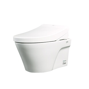 TOTO壁挂智能马桶CW822EB隐藏水箱悬空墙排坐便器家用浴室(04-C)