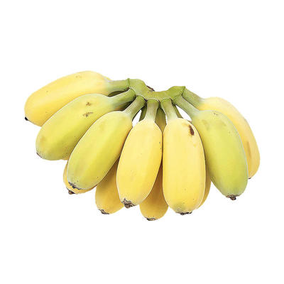 小米蕉香蕉新鲜水果当季现摘芭蕉小米蕉孕妇宝宝水果青蕉直发