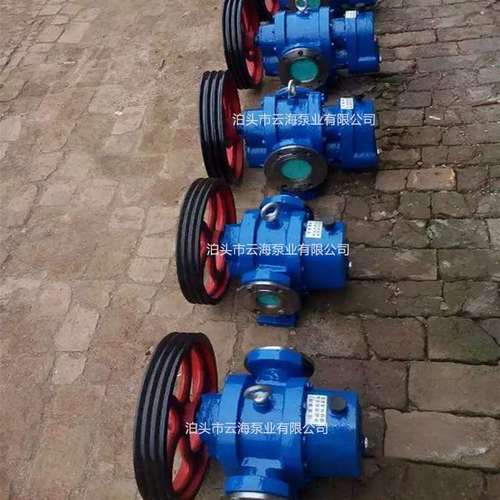 供应 LCX10/0.6罗茨泵  不锈钢转子罗茨泵 流量10立方的高粘度泵