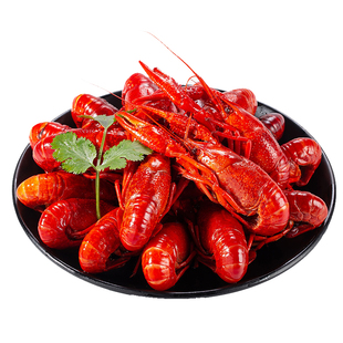 拍1发3盒】麻辣小龙虾海鲜熟食麻辣蒜蓉泥十三香加热小龙虾盒装