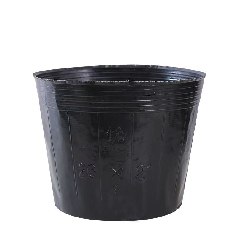 魔芋种植桶营养钵育苗杯大号种植盆育苗盆农用大棚块茎育苗专用杯