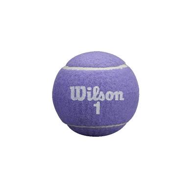 Wilson网球彩色趣味比赛训练球新款有压网球2颗装马卡龙网球礼物