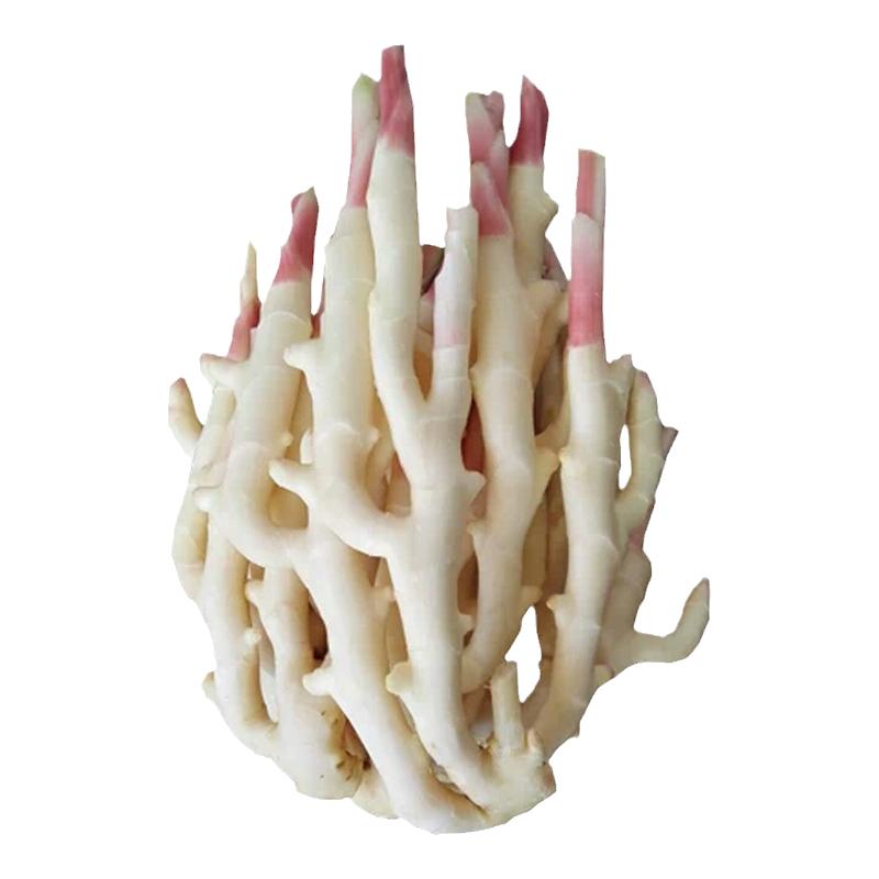 嫩子姜江永香姜嫩姜新鲜生姜仔姜红芽姜芽5斤醋姜腌蔬菜现挖现发