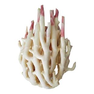 嫩子姜江永香姜嫩姜新鲜生姜仔姜红芽姜芽5斤醋姜腌蔬菜现挖现发