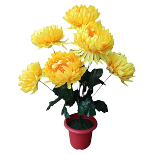 清明节扫墓碑摆放菊花假花祭祀上坟祭奠大朵塑料花把束白黄色菊花
