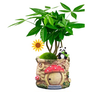 富贵竹盆栽绿植室内植物发财树四季好养办公室桌面盆景幼儿园花卉