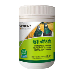 磷钙丸汉诺威促进幼鸽种鸽子发育补充营养磷钙微量元素非鸽子药