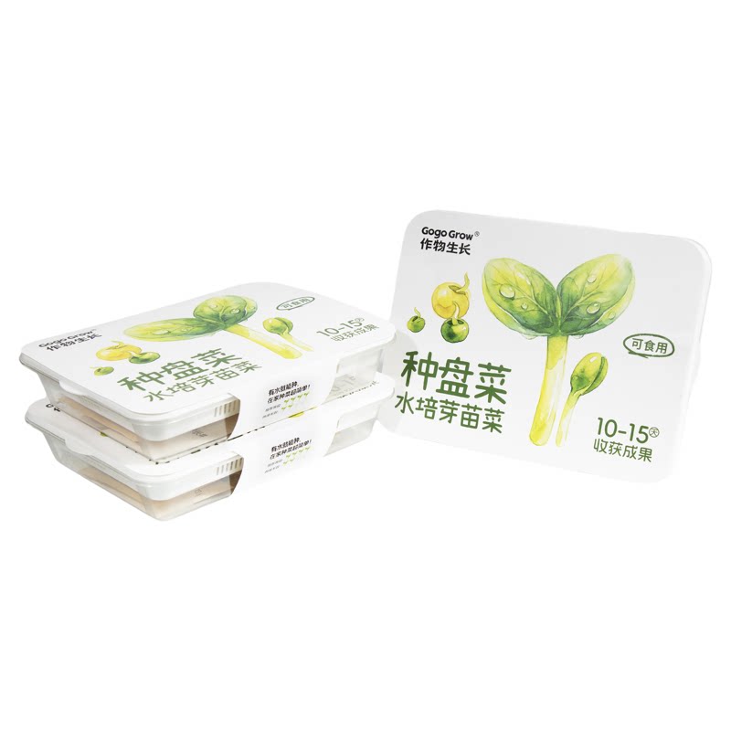 家庭专用水培芽苗菜种植盘套装