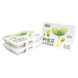作物生长芽苗菜盘种植盘套装水培豌豆苗西兰花家用育苗健康蔬菜