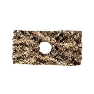 宠物甲虫果冻台天然实木制作单孔双孔不易翻倒易清洁锹甲成虫喂食