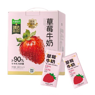 一鸣丹东草莓牛奶200ML*16盒整箱装