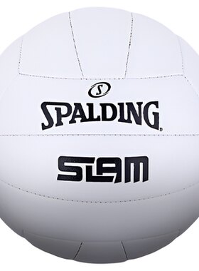 斯伯丁SLAM系列5号排球