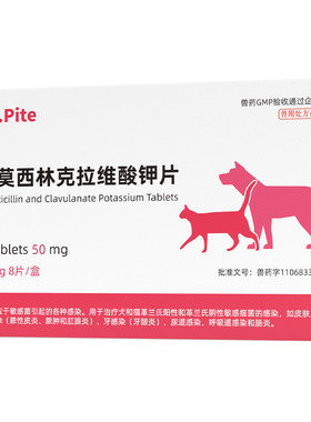 阿莫西林克拉维酸钾宠物猫咪感冒