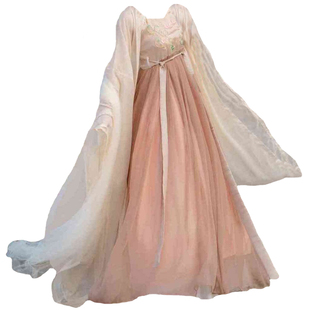 唐制汉服女成人仙气飘浅粉逸刺绣诃子裙日常汉元素大袖衫夏秋套装