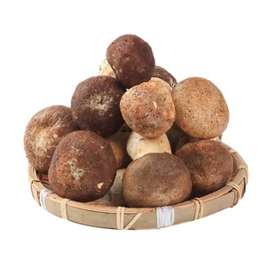 新鲜姬松茸林下新鲜赤松茸山林野生种植煲汤火锅刺身美味菌菇