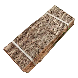 真树皮软木香槟树皮爬宠鱼缸造景绿植墙装饰水族贴墙种植板背景板