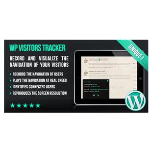 WP Visitors Tracker 访客日志追踪操作网站统计WordPress插件
