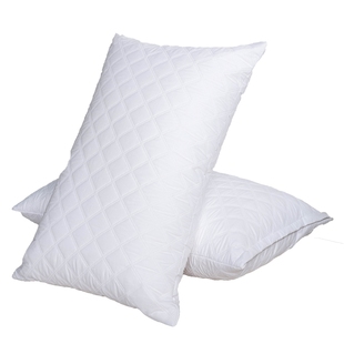 防水防头油枕套夹棉防螨抑菌加厚一对装家用枕芯枕套枕头保护套