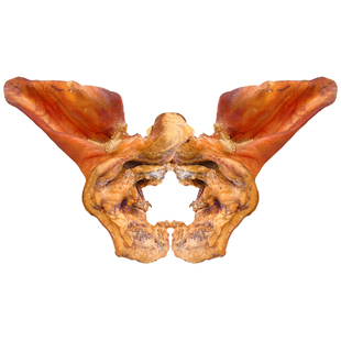 恩施特产腊耳朵1斤正宗柏树枝烟熏腊猪肝腊肉腊肠农家土猪口味