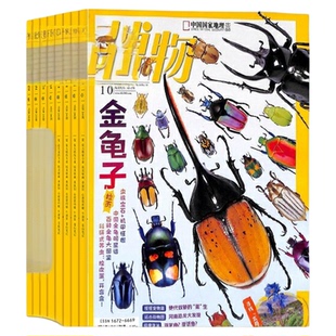 【包邮】博物杂志 2026年1月起订 1年共12期 杂志铺 中国国家地理青春版 认知启蒙 8-14岁青少儿科普中小学生课外阅读期刊