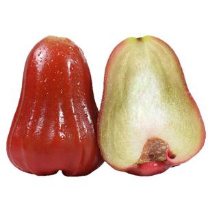 顺丰 海南黑金刚莲雾5斤新鲜当季水果现摘正宗红宝石连雾果树上熟