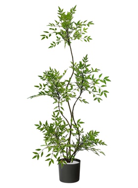 直播间绿植场景布置高级感背景墙