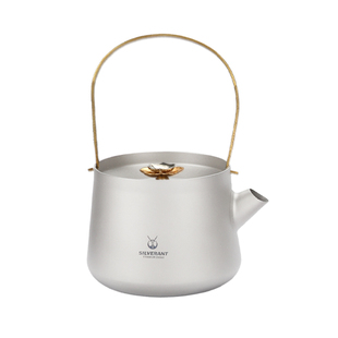 银蚁纯钛迷你泡茶器茶具套装家用便携式户外茶具带滤网钛金属茶壶