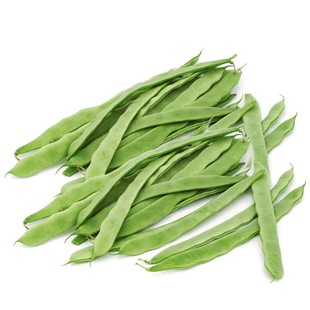 摘不败四季豆种子高产早熟爬藤四季播芸豆豆角种籽春季架豆蔬菜种