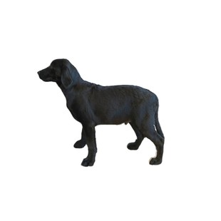 北京宠物寄养 训练教程 上门接送 狗狗寄养 拉布拉多 金毛