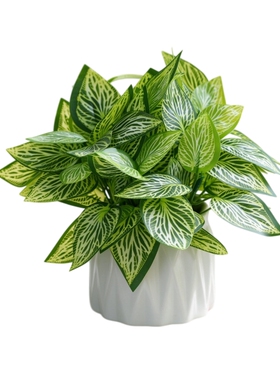 仿真绿植摆件小型客厅室内茶几盆栽电视柜桌面仿生植物假花高级感
