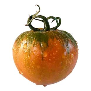 草莓柿子西红柿新鲜自然熟铁皮柿子盘锦碱地生吃水果丹东番茄5斤