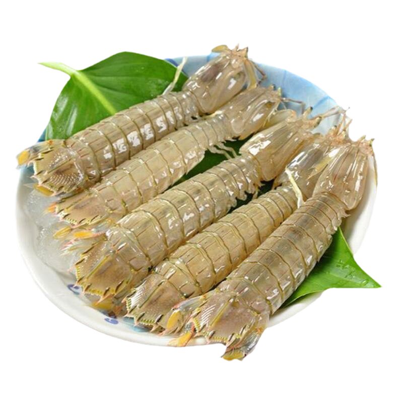 海鲜虾爬子皮皮虾青岛鲜活