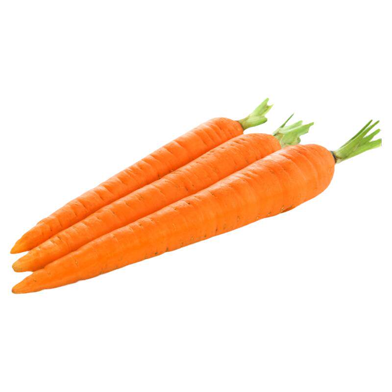 去叶手指萝卜新鲜沙拉蔬菜食材