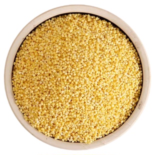 正宗东北大黄米新米粘糯黑龙江年糕商用黍米粘米饭黄米包粽子软米