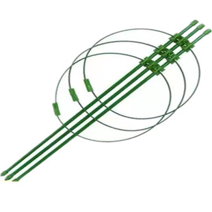 爬藤花架圆柱园艺支架阳台绿萝月季藤本植物攀爬铁艺支柱撑蟹爪兰