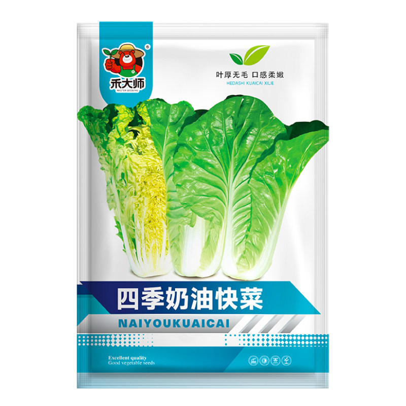 正品奶油快菜种子新鲜爽口速生小白菜阳台农家四季易播种蔬菜种籽