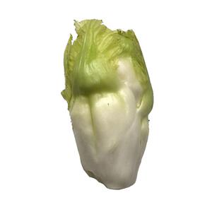 四川特产新鲜儿菜脆嫩抱子菜母子娃娃菜抱子芥菜产地直销5斤包邮