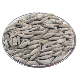 东北特产椴木老鼠耳黑木耳干货非特级野生新小碗耳秋木耳云耳500g