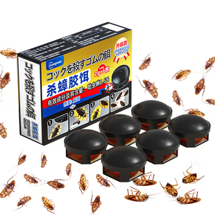 德国正品蟑螂药室内强效毒杀蟑胶饵家用全窝端虫卵双杀无灭蟑神器